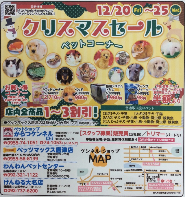 ピックアップ わんわんペットセンター | 4ページ目 | 唐津ケンネル｜犬